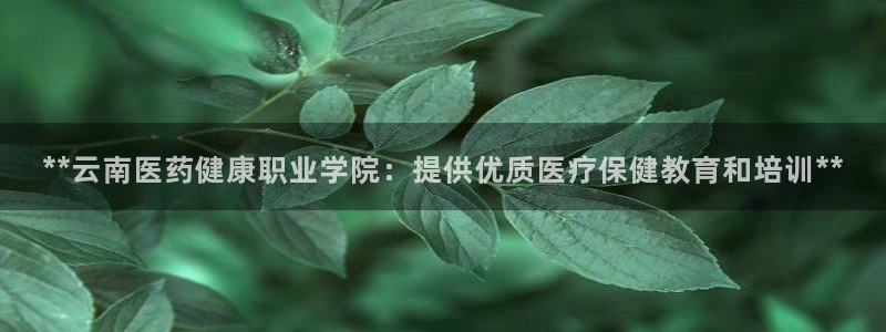 ag久游会
