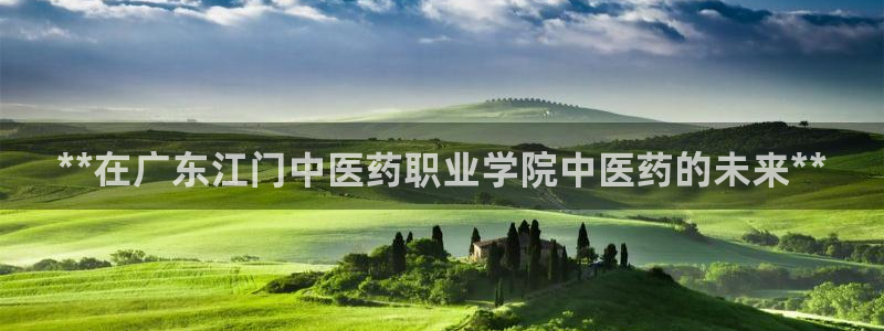 九游会j9