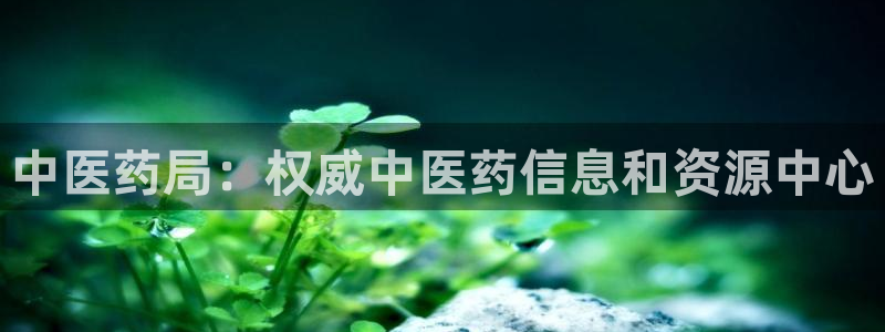 九游会国际厅