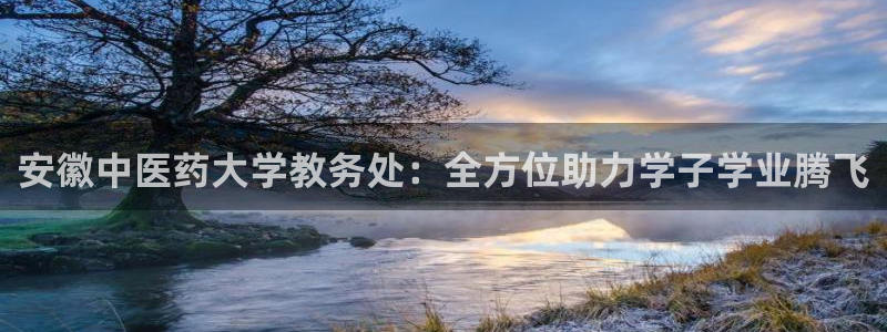 九游会ag官方网站
