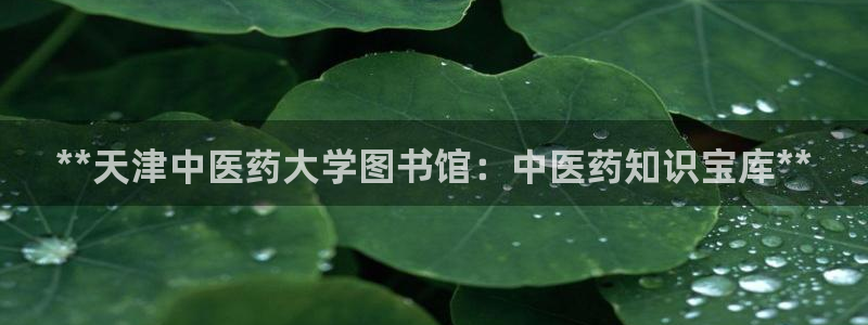 九游会官网下载不了吗