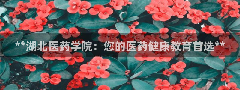ag九游会微博