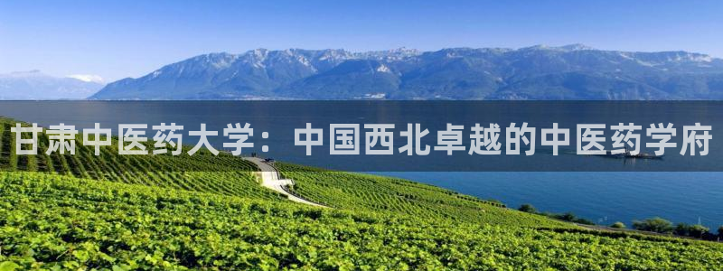 九游会真假