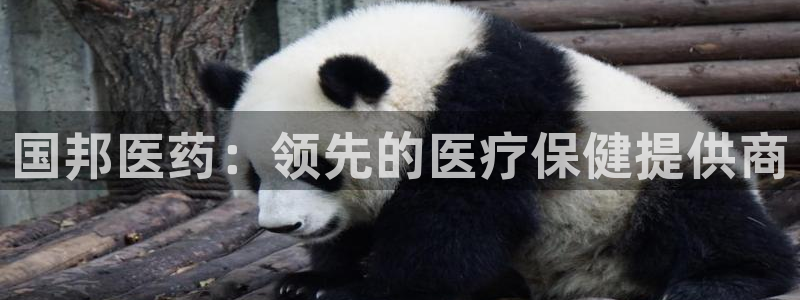 J9九游会J9