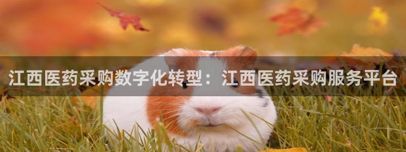 九游会官网登录入口网页首页