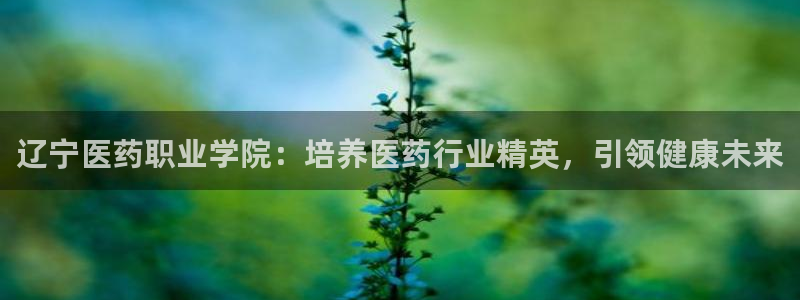 九游会ag官方网站在哪