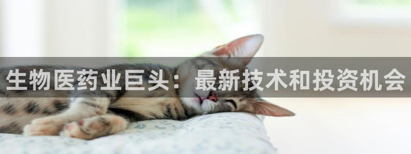 九游会中国j9