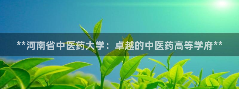 j9九游会入口j9