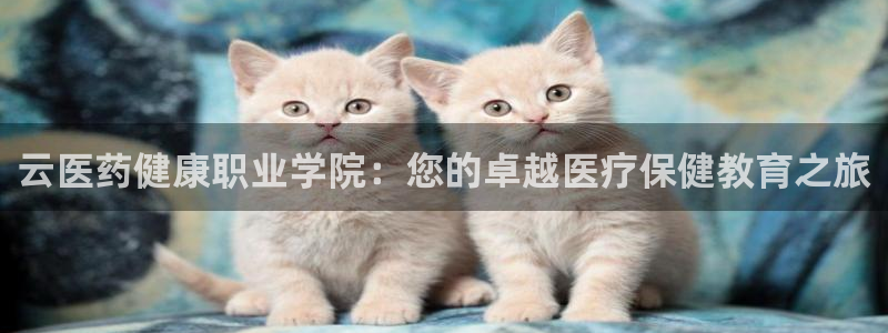 九游会agapp