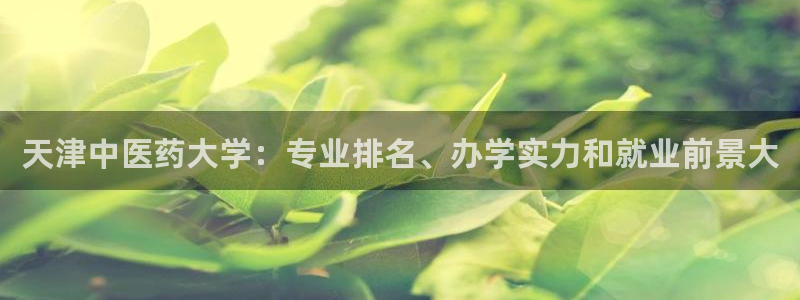 九游会j9