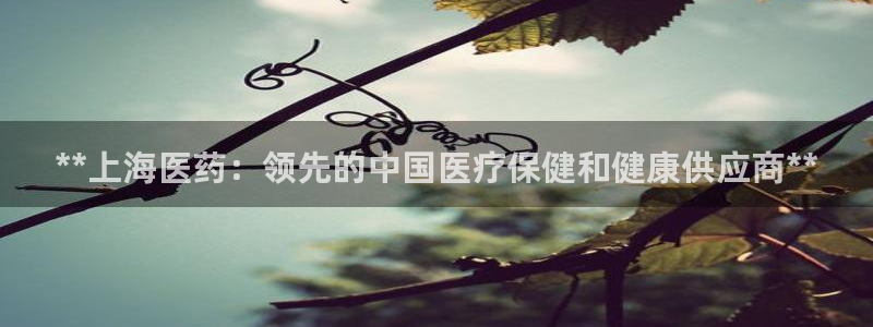 九游会平台老哥俱乐部