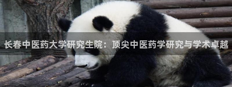 九游会游戏官方登录