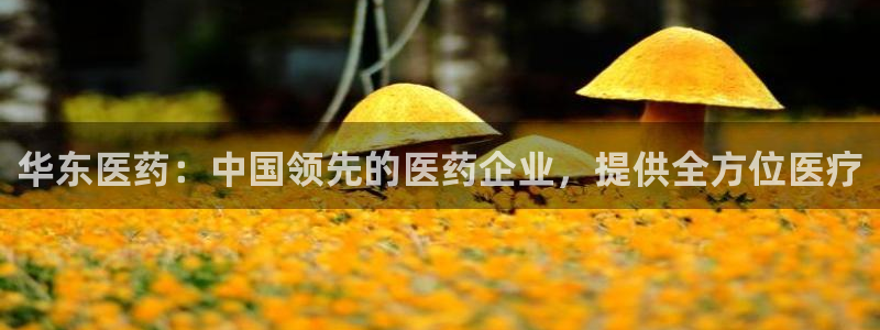 九游会是什么平台