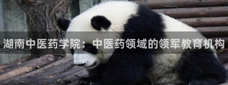 九游会的网址是多少