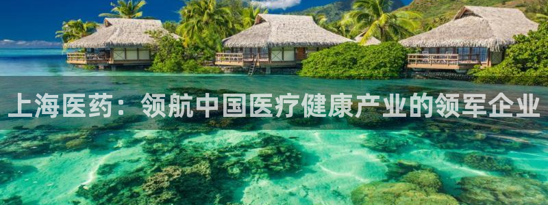 九游会j9官网网站