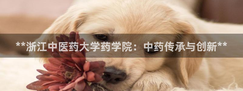 j9九游会登录网址