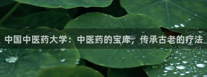 ag亚洲国际游戏九游会
