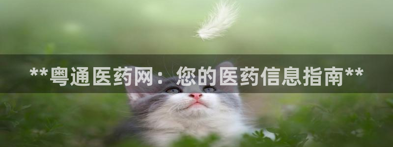 ag改九游会