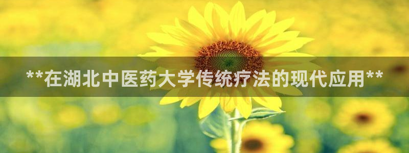 J9九游会老哥