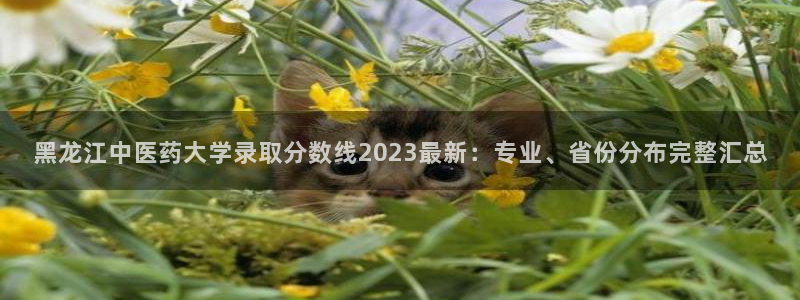 九游会提款安全吗