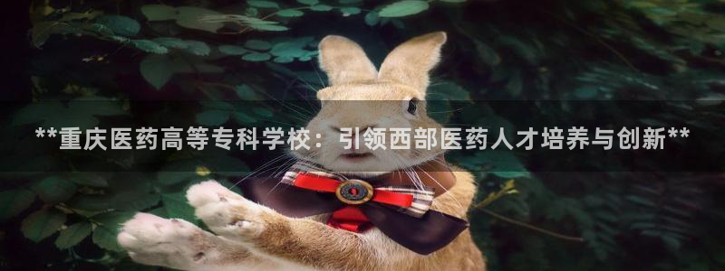 九游会国际厅登录 - j9九游会首页登录新版