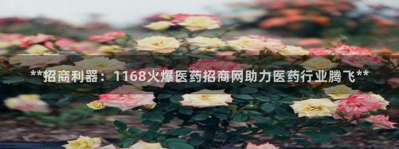 j9九游会app官方下载