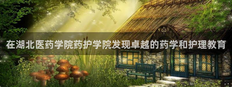 九游j9