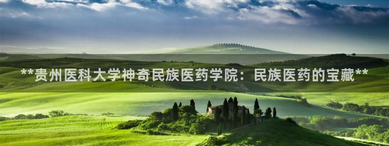 九游会官方在线