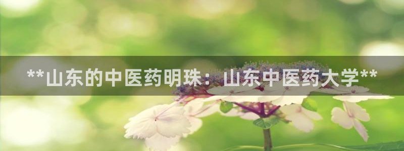 j9九游会登陆入口
