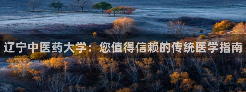 九游会ag首页