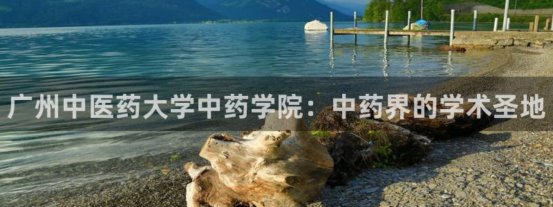 九游会平台王一博泰国