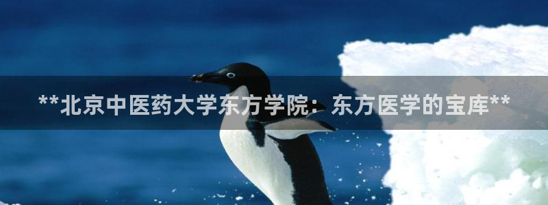j9九游会导航