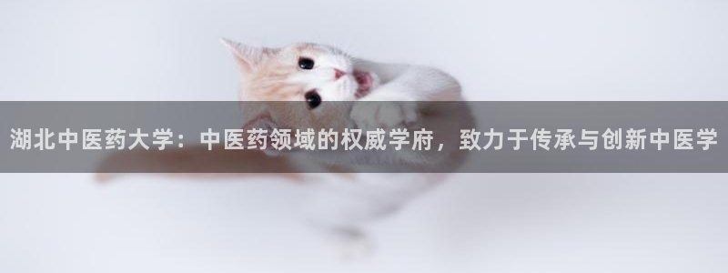 J9九游会是干嘛的