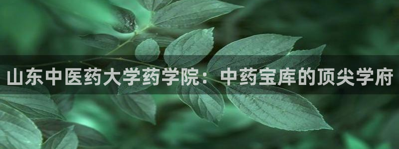 j9九游会官方登录
