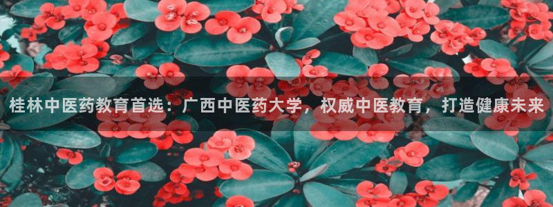 九游会官方旗舰店