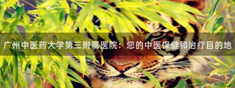 j9九游会游戏