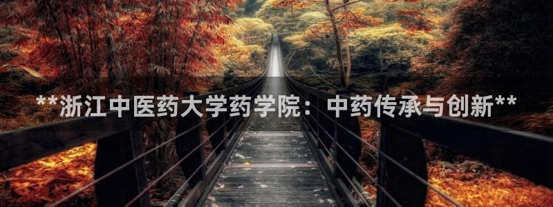 九游会网址是什么情况