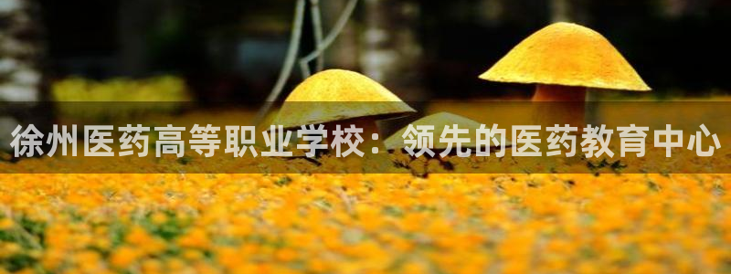 九游会关服吗