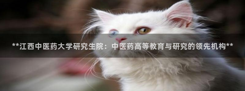 九游会集团正规吗