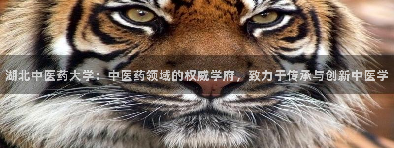 九游会平台最强