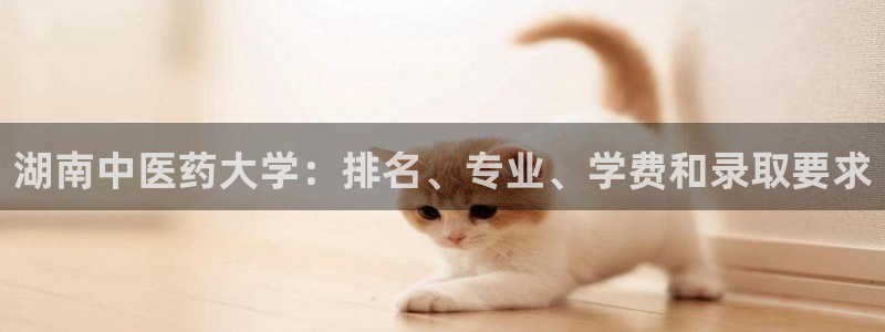 j9九游会app官网下载