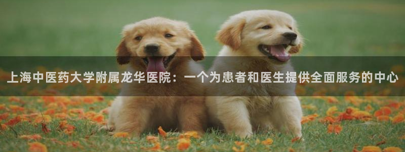 9游会旗舰