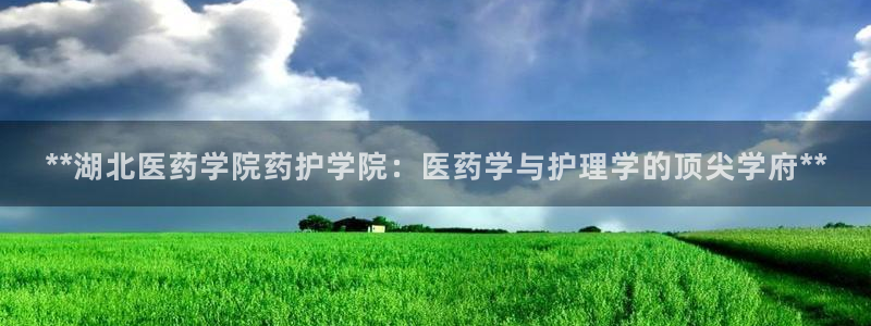 九游会官网j9j9