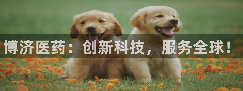 9游会登录地址