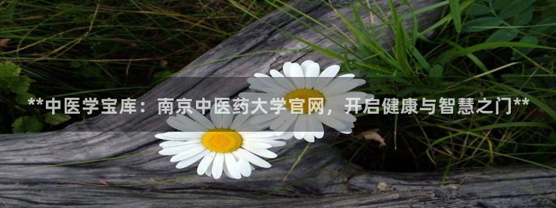 九游会网址入口