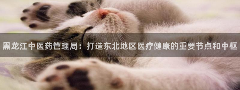 九游会集团币圈