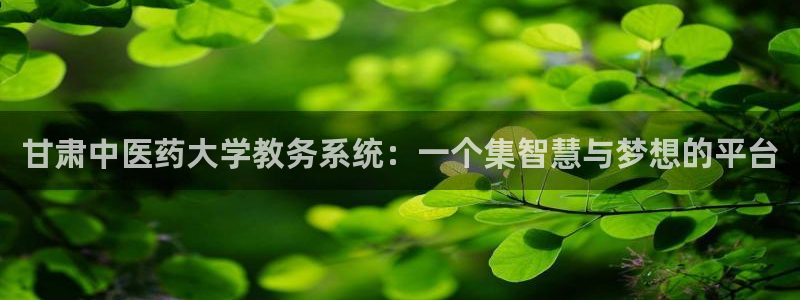 九游会主页：甘肃中医 