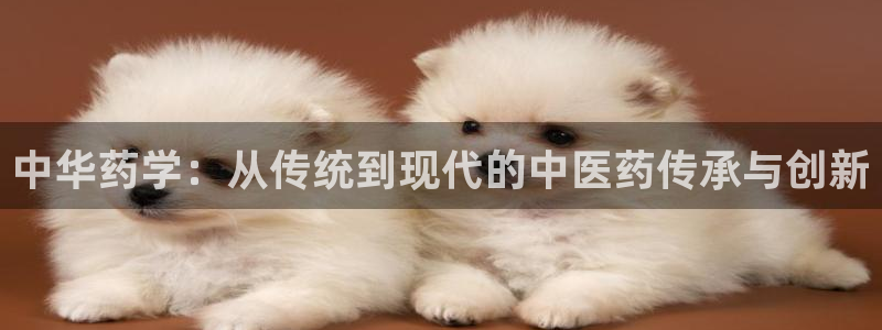ag8亚洲九游会