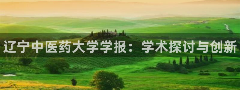 j9九游会app官网下载