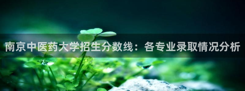 j9九游会买u多少一个